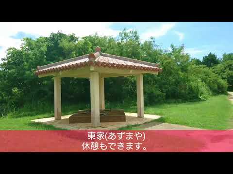 2018ポスチュアウォーキングの日IN沖縄 6月17日(日) うるま市野鳥の森公園