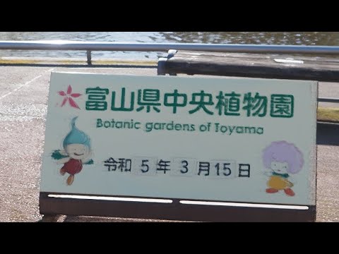 20230315　富山県中央植物園