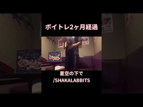 【脱音痴】星空の下で歌ってみた　SHAKALABBITSカラオケ#shorts #歌ってみた #cover