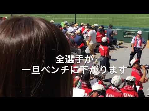 智弁和歌山の美音綺麗なアフリカンシンフォニー 2019甲子園 夏