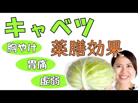 キャベツの効果 栄養素 注意点 旬 薬膳 ＃029