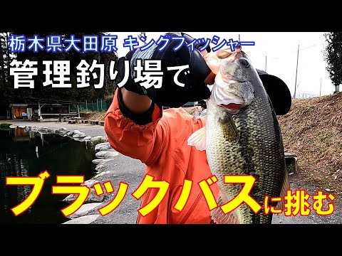 日本有数の管理釣り場で ブラックバスに挑む！@キングフィッシャー