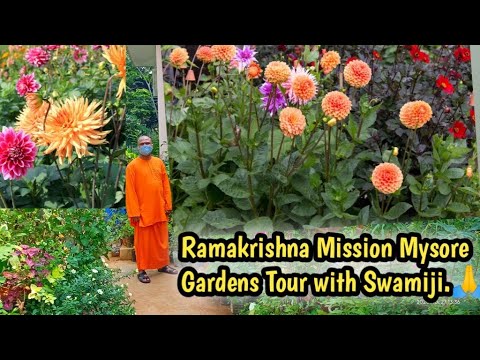 Inside view of Ramakrishna Mission Gardens Mysore //Talks with swamiji on free plant distribution //