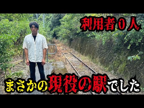 【利用者0人】廃駅？いいえ現役の駅です。今はだれも利用していない山奥の秘境駅に行ってみたら感動的な光景が！高知県の新改駅