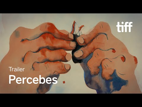 PERCEBES Trailer | TIFF 2024