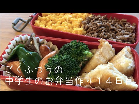 １４日目♫ごく普通の中学生のお弁当づくり♫そぼろ弁当♫