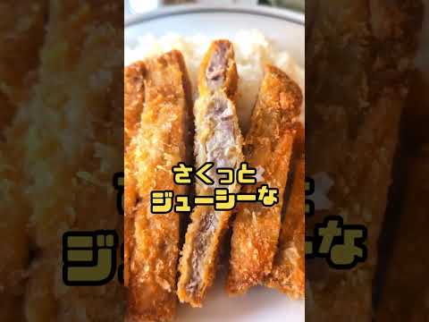 鹿児島県【桜島サービスエリア（下り線）レストラン】流石鹿児島！美味しいでっかいカツカレー