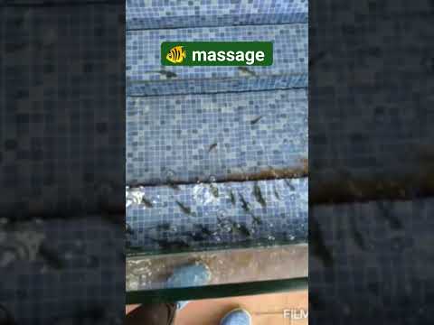 🐟 massage for legs#massage#natural  #stressrelief #goa #shorts