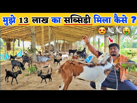 100 बकरी के लिए मिला 13 लाख का सब्सिडी | Bakri palan ke liye loan kaise len | goat farming subsidy