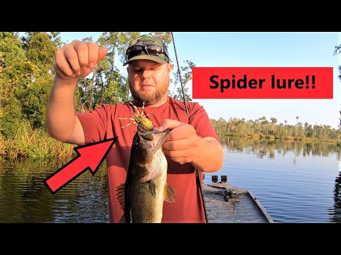 Lunker Hunt SPIDER lure!! It works...Kind of. Gator tail extreme GTR40XD