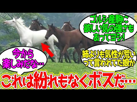 サトノジャスミンの2023 ← いろんな意味で強そう…に対するみんなの反応！【競馬 の反応集】