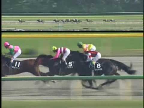 2002年6月8日 東京11R オーロカップ スナークレイアース