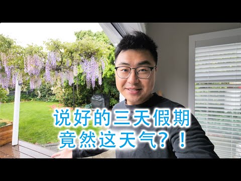 说好的假期出游，竟然遇到了大雨降温（新西兰 Harold Vlog 877）