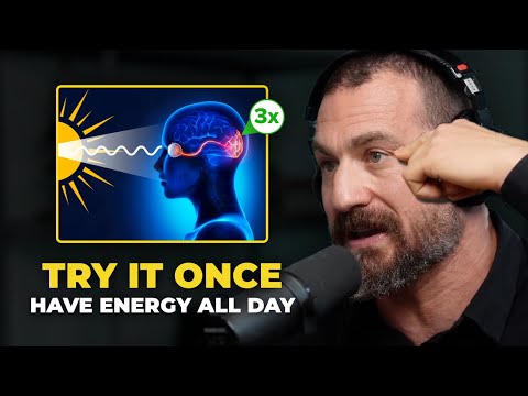 Neuroscientist: You Will NEVER Lack Energy Again | Andrew Huberman