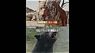 Shere Kahn vs Cocaine Bear #junglebook2016 #cocainebear #vsedit #vsbattle #sherekhan #junglebook