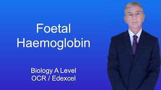 A Level Biology Revision "Fetal Haemoglobin (OCR/Edexcel).