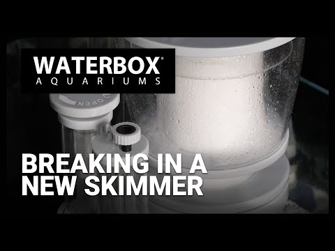 Breaking in your new protein skimmer