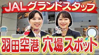 羽田空港を歩き尽くしてるグランドスタッフに穴場スポットを聞いてみました