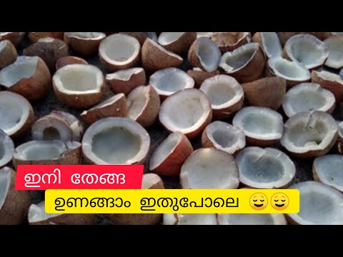 #coprabusiness#copradryer  മഴക്കാലത്ത് ഇനി കൊപ്ര ഉണക്കാൻ പേടി വേണ്ട|how to drying coconut at monsoon