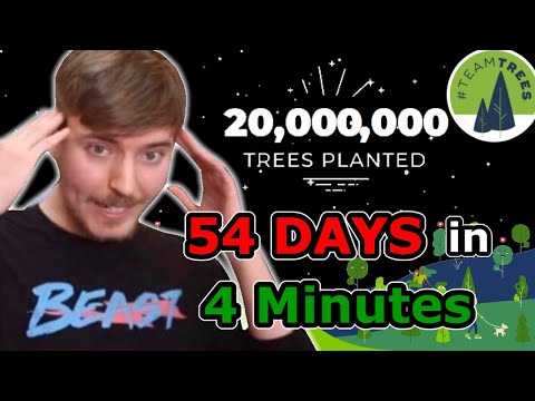 TeamTrees Hitting 20 Million Trees Planted!!