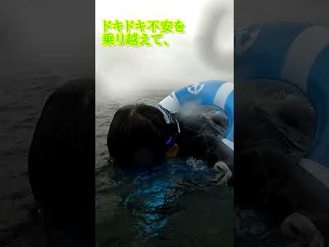 【石垣島】2歳4歳！波あれど楽しんだシュノーケリング！10月25日ツアー動画