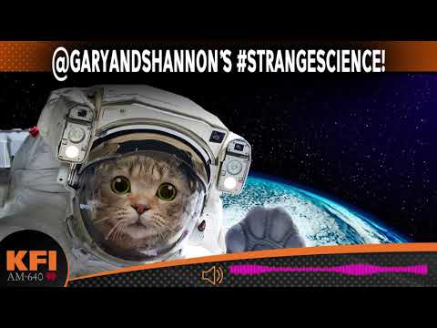 @GaryandShannon's #StrangeScience!