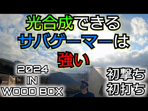 【サバゲー】光合成したら立ち回りが上手くなった気がする【げぽぽ】WOOD BOX