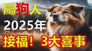 2025生肖運勢，十二生肖屬狗2025年三大喜事，分別是什麼喜事，2025年，屬狗的朋友过去運勢相比其他生肖低迷許多，十二生肖當中，許多屬相的命運會迎來全新的變化，屬狗雖然在2024年運勢不好