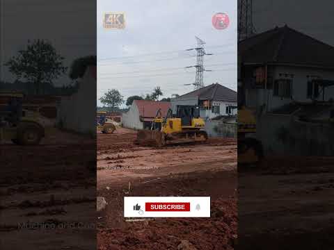 Bulldozer Pushing and Scraping Soil for Compacting by Roller