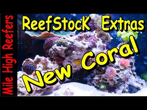 ReefStock 2018 Extras, New Coral and Some Fraging