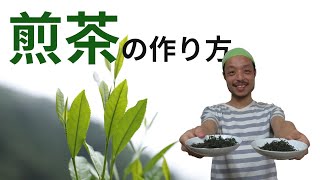 お茶を手作りしよう【煎茶編】～日本の緑茶と言えば煎茶ですよね