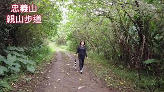 北投 忠義山親山步道/2020 12 24/老男人Fred