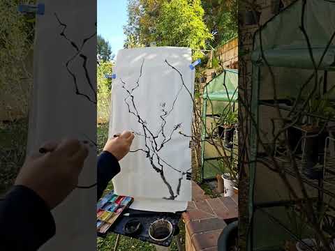 A backyard plein air sketch of a blooming plum tree called "swimming dragon" to welcome the new year