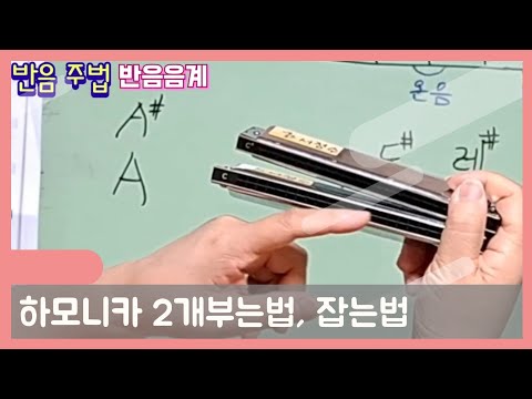 #반음주법 하모니카 2개 부는법 잡는법, #임시표