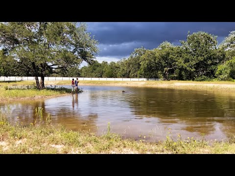 🥵 What Happened to my POND after 2023 DROUGHT | 3 Months NO RAIN! 🥵