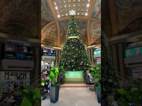 Un árbol de navidad digna de una gran capital de orden mundial #shorts #buenosaires #navidad