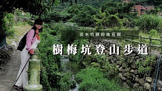 淡水竹圍的後花園｜樹梅坑登山步道、忠義山、吳仔厝｜三個蛋糕cakethree