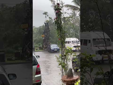 Heavy rains in Munnar, Kerala ❤️❤️ #weather #rain #love #trending #shorts #munnar #kerala #india