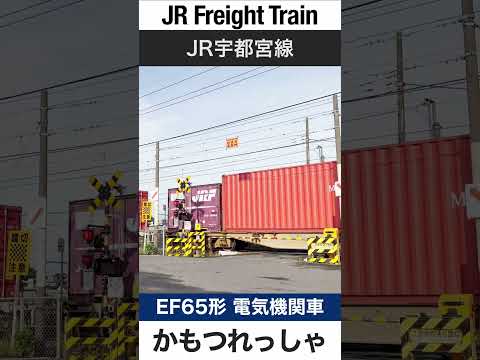 【踏切】JR宇都宮線を走る貨物列車【電車が大好きな子供向け】Japanese Trains for Kids - Freight Train