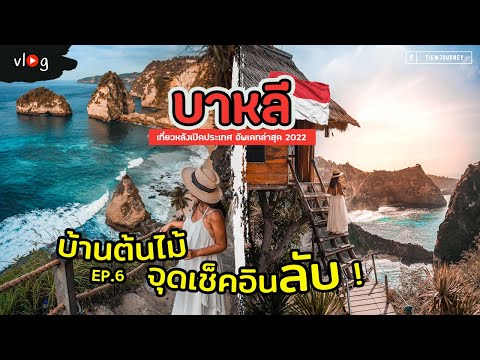 Bali EP.6 เที่ยวบาหลี เกาะ Nusa Penida บ้านต้นไม้ จุดเช็คอินลับบนเกาะ | Tiewjourney