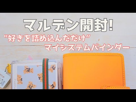 【開封！】マイシステムバインダーの中身パラパラとマルデン開封✨🩷✨/システム手帳/マイシステムバインダー/マルデン/Filofax【声あり】#11