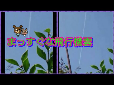 きれいな飛行機雲