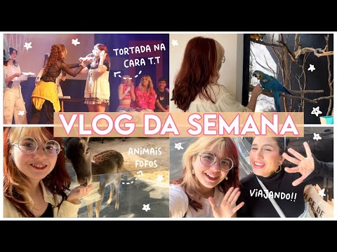 VLOG DA SEMANA: viajei, conheci vários bichos e levei tortada na cara