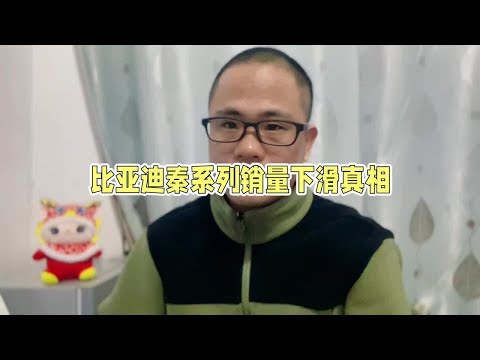 比亚迪秦系列11月销量排名下滑，朗逸轩逸销量坚挺，价格战或开打