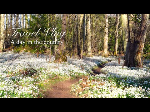 Scottish cute countryside cafe|Day trip to small villages & beautiful flower forest| Scotland, UK