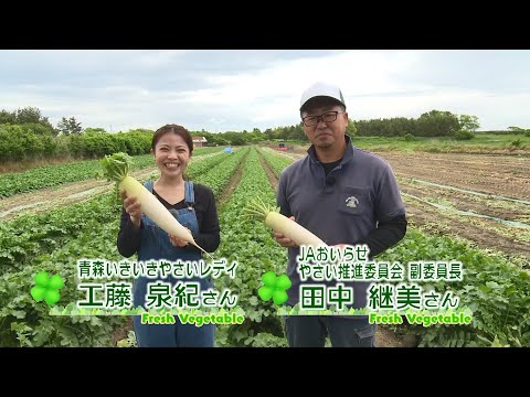 2023年6月16日放送「Fresh Vegetable」旬の青森県産だいこんを紹介～JAおいらせより～