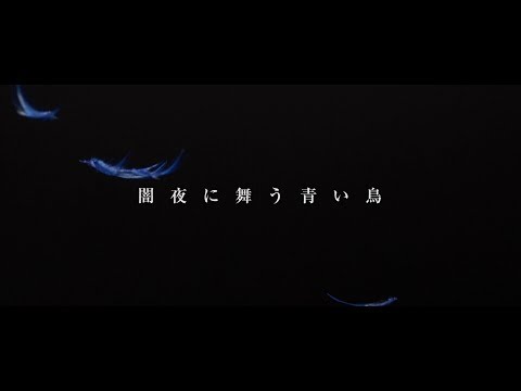 BREAKERZ「闇夜に舞う青い鳥」MV（Web Size Version）