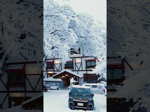 看看真正的冰天雪地/Look at the real ice and snow.#日本#白馬村#冰天雪地#Japan #Hakuba #Ice#Snow