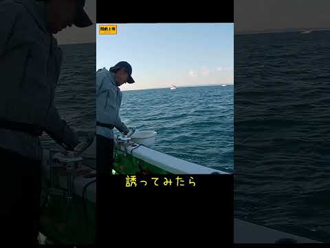 置き竿のアタリもたまりませんが、誘った時のアタリもたまりませんね　@love-fishing1107 #関東の船釣り #船釣り #コマセ真鯛 #fishing #ワラサ釣り