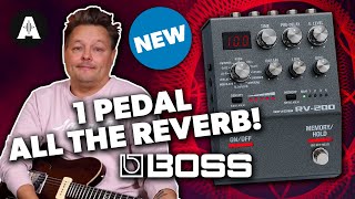 Boss RV-200 - A Powerful Palette of Reverbs!